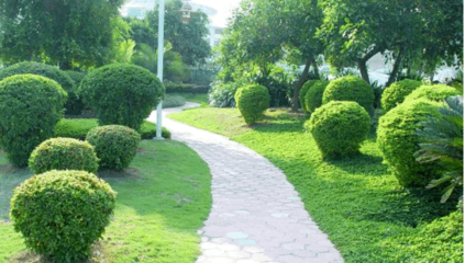 園林綠化工程施工規(guī)范與操作要點