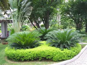 園林綠化工程施工全程詳解與核心標(biāo)準(zhǔn)解讀